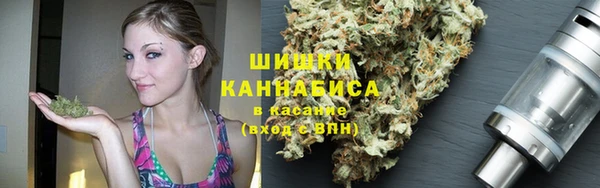 эйфоретик Аркадак